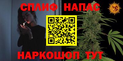 ешки Тула