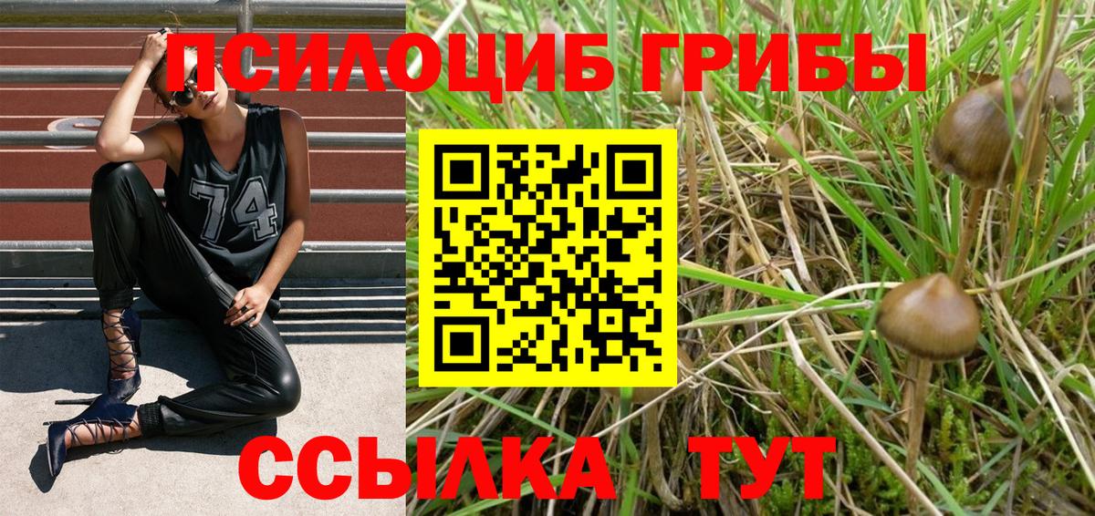 Галлюциногенные грибы мухоморы  Вход с VPN  Балашиха 