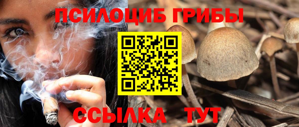 Псилоцибиновые грибы мицелий Балашиха